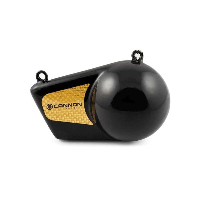 Cannon 16 Pound Flash Weight — 1