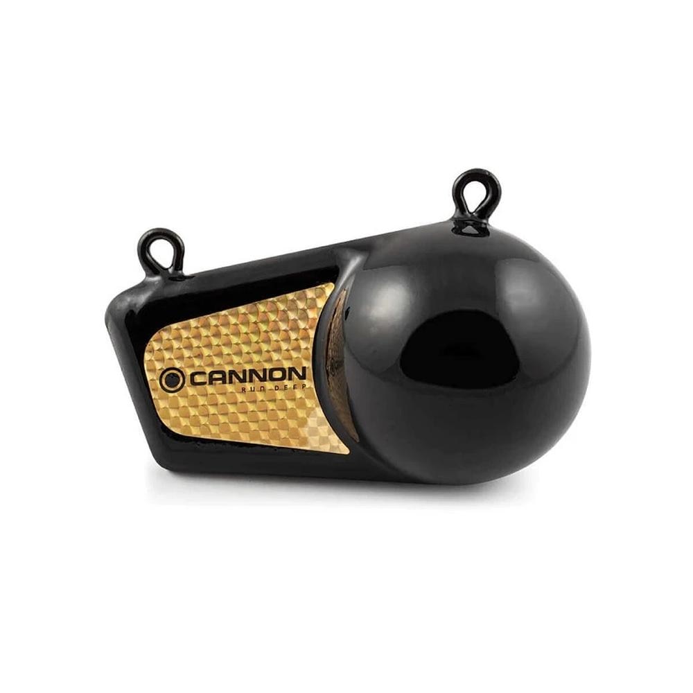 Cannon 8 Pound Flash Weight — 1