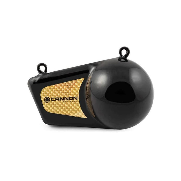 Cannon 12 Pound Flash Weight — 1