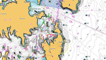 C-MAP Reveal X Coastal Great Lakes microSD — 2