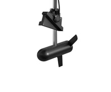 Garmin Panoptix LVS62 Transducer Only — 4