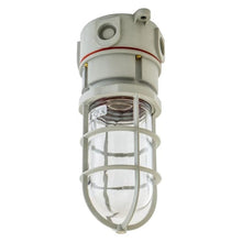 Hubbell NVX15GHGA Ceiling Mount Vaportight Light Fixture — 1