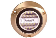 Lumitec Seablaze X2 Dual Color Blue/White LED Surface Mount Bronze Housing 12/24v — 1