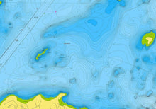 Navionics Plus NAUS006R U.S. South microSD — 4
