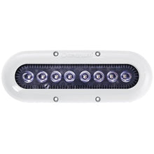 OceanLED X8 X-Series Ultra White LED — 1