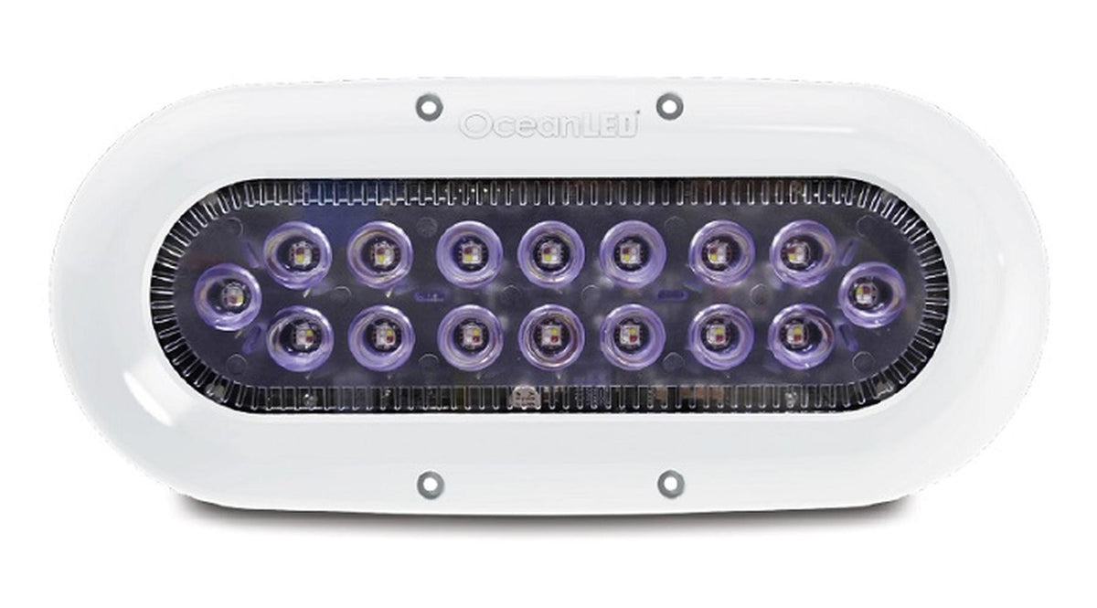 OceanLED X16 X-Series Midnight Blue LED — 1