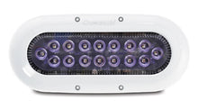 OceanLED X16 X-Series Midnight Blue LED — 1