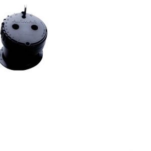 Raymarine P79 In-Hull Transducer For DSM300